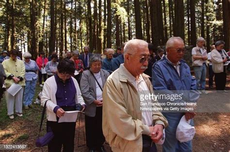 広末涼子 ショート - 彼女の魅力と多面的な才能